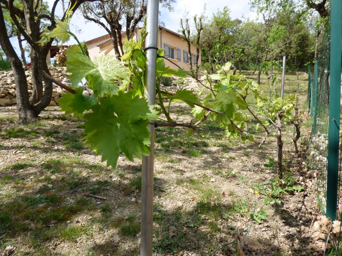 Gites De L'Esquirou Lagorce  Luaran gambar